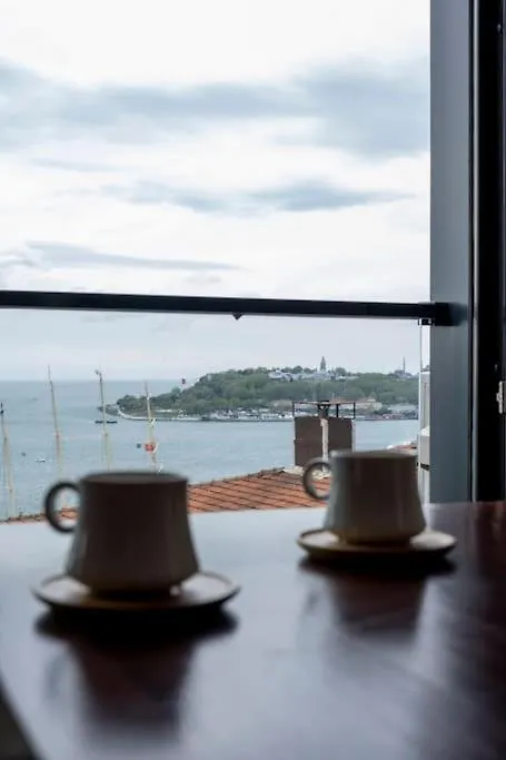 Two-Bedroom Apartment With Bosphorus View 伊斯坦布尔 土耳其