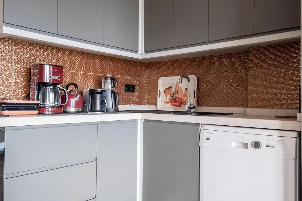 Two-Bedroom Apartment With Bosphorus View 伊斯坦布尔 0*,  土耳其